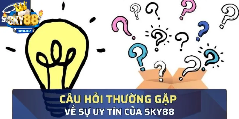 Đội ngũ hỗ trợ khách hàng làm việc như thế nào ?